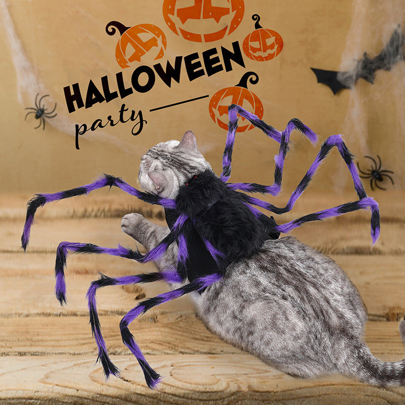 Halloween Cat/Dog Clothes | Halloween Spider Pet Costume for Cats & Dogs | Best Store 324 GB