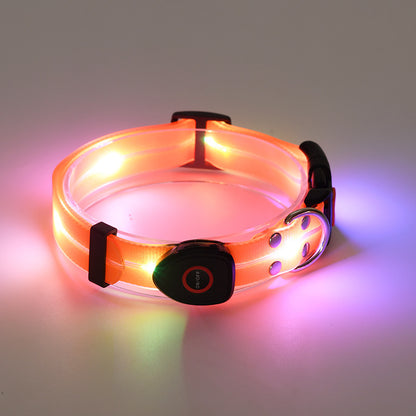 Glowing LED dog collar