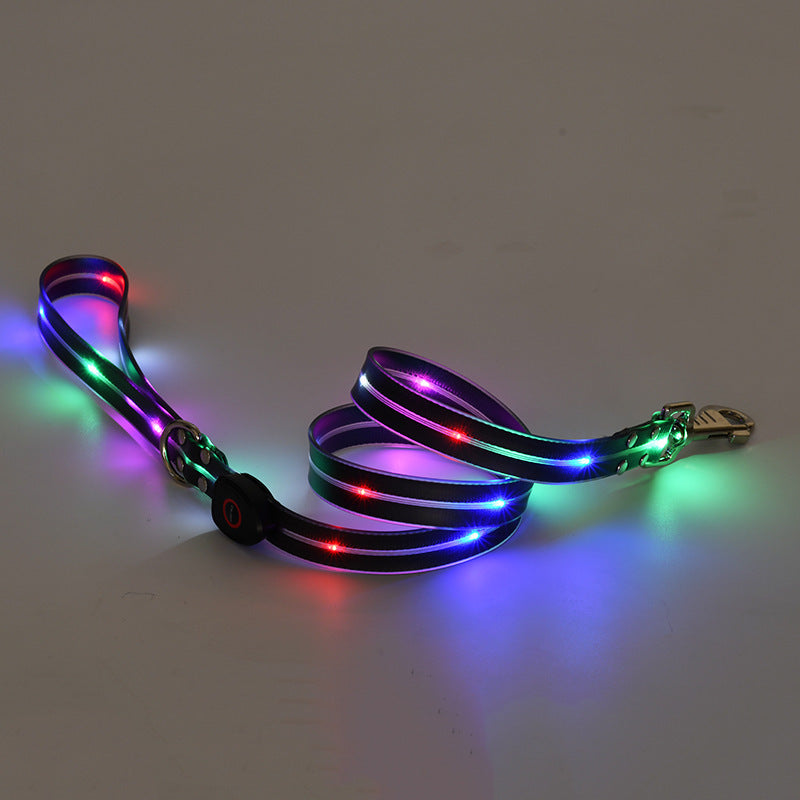 Colorful LED dog leash