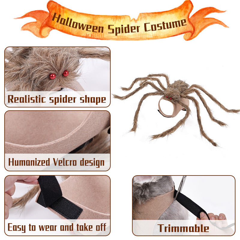Halloween Cat/Dog Clothes | Halloween Spider Pet Costume for Cats & Dogs | Best Store 324 GB