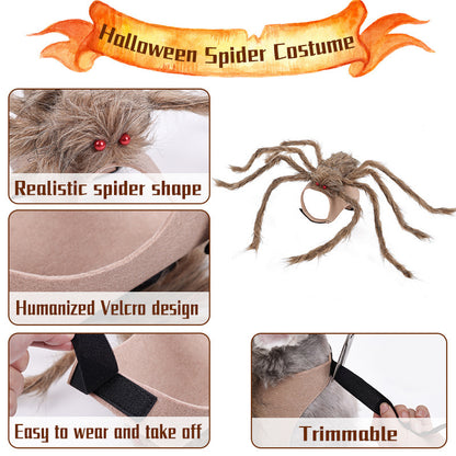 Halloween Cat/Dog Clothes | Halloween Spider Pet Costume for Cats & Dogs | Best Store 324 GB
