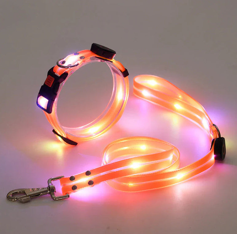 LED dog collar and leash